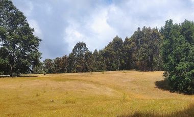 Hermosas Parcelas de agrado Sector Trinquicahuín