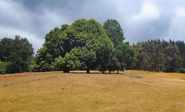 Hermosas Parcelas de agrado Sector Trinquicahuín