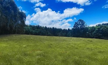 Hermosas Parcelas de agrado Sector Trinquicahuín