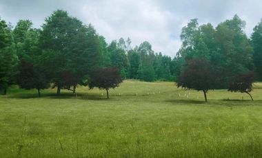 Hermosas Parcelas de agrado Sector Trinquicahuín