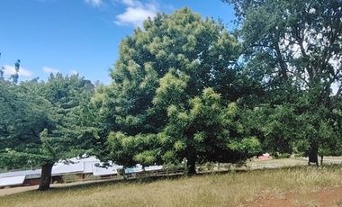 Hermosas Parcelas de agrado Sector Trinquicahuín