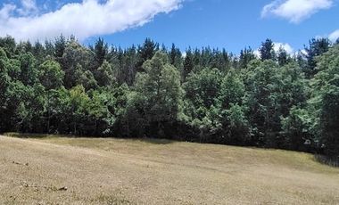 Hermosas Parcelas de agrado Sector Trinquicahuín