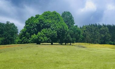 Hermosas Parcelas de agrado Sector Trinquicahuín