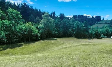 Hermosas Parcelas de agrado Sector Trinquicahuín