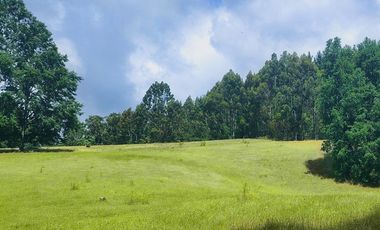 Hermosas Parcelas de agrado Sector Trinquicahuín