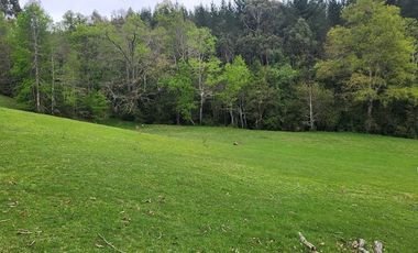 Hermosas Parcelas de agrado Sector Trinquicahuín