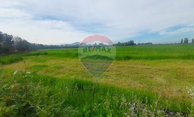 Proyecto Parcelas  Huertos de Pedehue