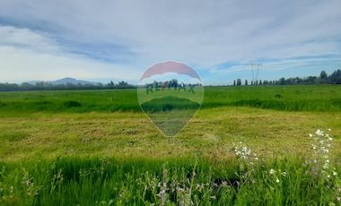 Proyecto Parcelas  Huertos de Pedehue