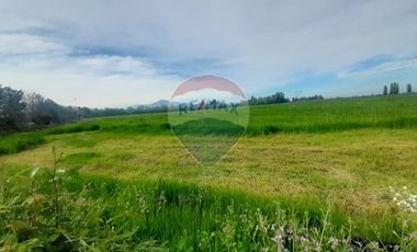 Proyecto Parcelas  Huertos de Pedehue