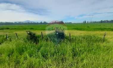 Proyecto Parcelas  Huertos de Pedehue