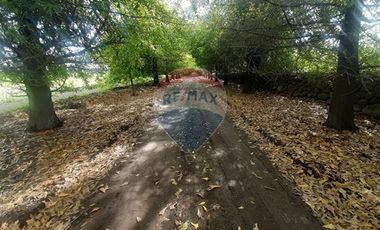 Proyecto Parcelas  Huertos de Pedehue