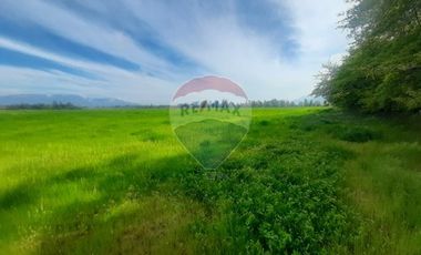 Proyecto Parcelas  Huertos de Pedehue