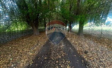 Proyecto Parcelas  Huertos de Pedehue