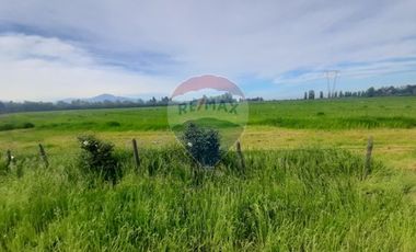 Proyecto Parcelas  Huertos de Pedehue