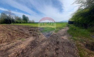 Proyecto Parcelas  Huertos de Pedehue