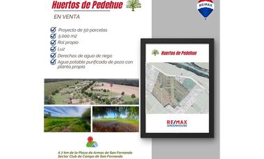 Proyecto Parcelas  Huertos de Pedehue