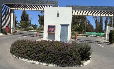 PLAYA GRANDE EL YECO
