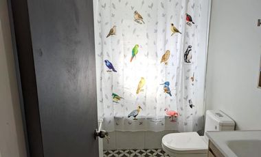 CASA RENOVADA EN PARQUE IVIAN.