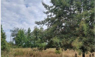 CONDOMINIO LOS TULIPEROS