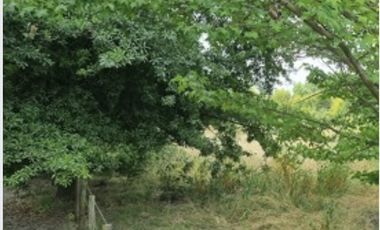 CONDOMINIO LOS TULIPEROS