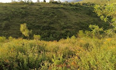 SE VENDE TERRENO EN SAN PABLO ETLA,OAX.