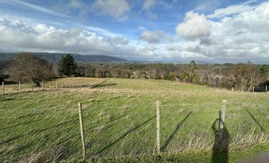 TERRENO DE 5000 M2 EN CAÑETE, TRANQUILIDAD Y PROYECCIÓN