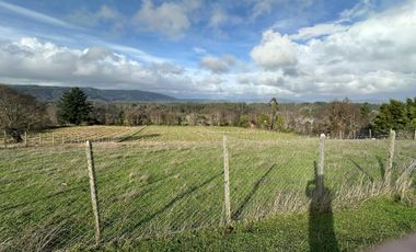 TERRENO DE 5000 M2 EN CAÑETE, TRANQUILIDAD Y PROYECCIÓN