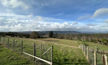 TERRENO DE 5000 M2 EN CAÑETE, TRANQUILIDAD Y PROYECCIÓN