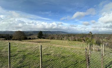 TERRENO DE 5000 M2 EN CAÑETE, TRANQUILIDAD Y PROYECCIÓN