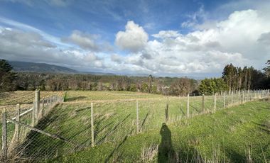 TERRENO DE 5000 M2 EN CAÑETE, TRANQUILIDAD Y PROYECCIÓN