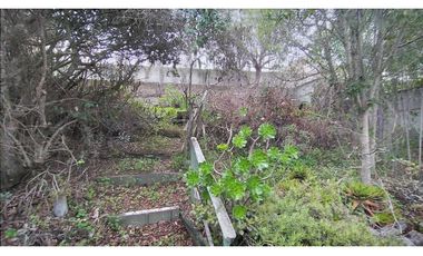 Oportunidad Casa algarrobo (Sector Mirasol)