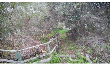 Oportunidad Casa algarrobo (Sector Mirasol)