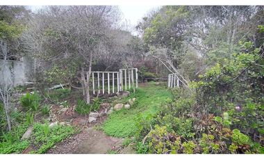 Oportunidad Casa algarrobo (Sector Mirasol)