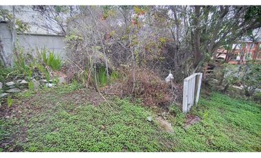 Oportunidad Casa algarrobo (Sector Mirasol)