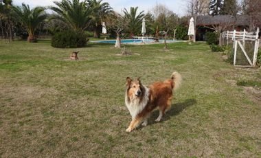 Oportunidad hermosa parcela en buin (excelente conectividad)  30% rebajada