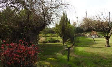 Oportunidad hermosa parcela en buin (excelente conectividad)  30% rebajada