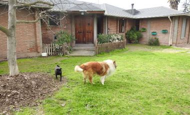 Oportunidad hermosa parcela en buin (excelente conectividad)  30% rebajada