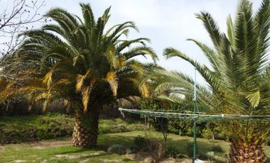 Oportunidad hermosa parcela en buin (excelente conectividad)  30% rebajada