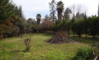 Oportunidad hermosa parcela en buin (excelente conectividad)  30% rebajada