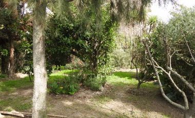 Oportunidad hermosa parcela en buin (excelente conectividad)  30% rebajada