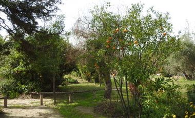 Oportunidad hermosa parcela en buin (excelente conectividad)  30% rebajada