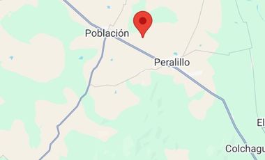 Campo 13.5 H  con ciruela Dayane en producción