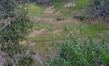 Parcela Plana en Santa Julia del Lago Rapel