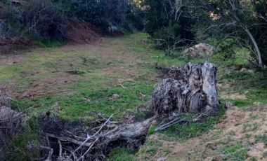 Parcela Plana en Santa Julia del Lago Rapel