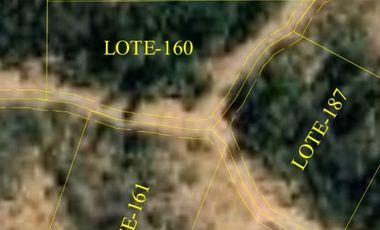 Parcela Plana en Santa Julia del Lago Rapel