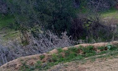 Parcela Plana en Santa Julia del Lago Rapel