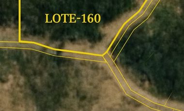 Parcela Plana en Santa Julia del Lago Rapel