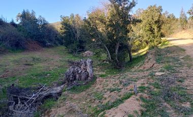 Parcela Plana en Santa Julia del Lago Rapel