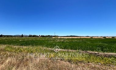 Gran campo agrícola cercano a Retiro