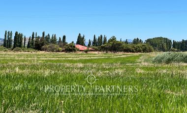 Gran campo agrícola cercano a Retiro